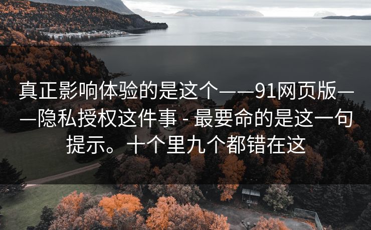 真正影响体验的是这个——91网页版——隐私授权这件事 - 最要命的是这一句提示。十个里九个都错在这